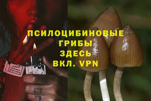 кокс Аркадак